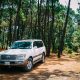 Choosing the Right Tires for Your Vehicle
