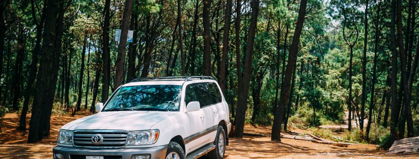 Choosing the Right Tires for Your Vehicle